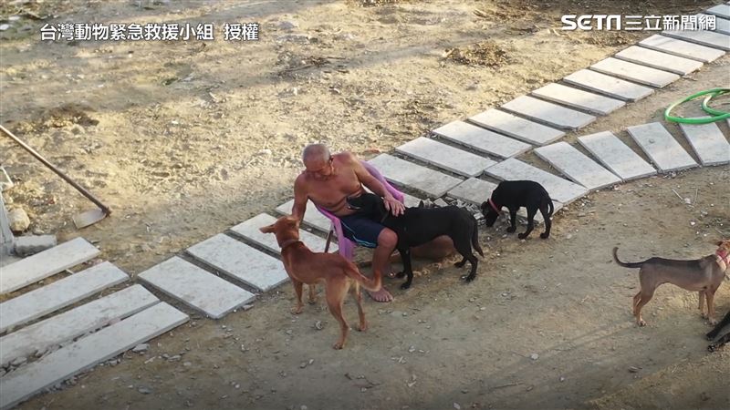 8旬翁乞食餵浪浪　網募百萬重建狗園
