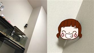 倉鼠逃家被逮　2小腳狂抖撐壁網笑噴