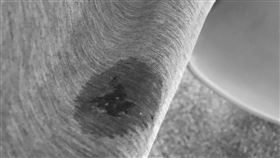 檳榔汁,騎車,紅一片,腹部(翻攝自 PTT)