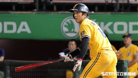 ▲中信兄弟外野手周思齊。（圖／記者劉彥池攝影）