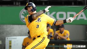 ▲中信兄弟內野手林智勝。（圖／記者劉彥池攝影）