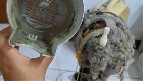 14年電風扇不動了！拆開後殼炸毛嚇壞她（圖／翻攝自爆廢公社臉書）