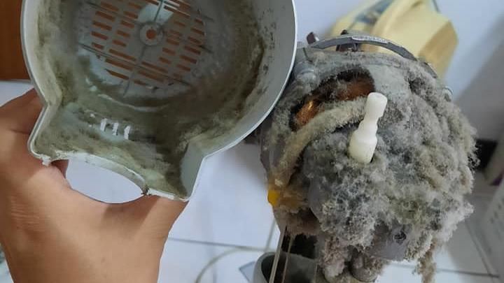 14年電風扇不動了　拆開炸毛嚇壞她