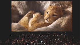 獅子王電影交響音樂會　12月首度來台演出迪士尼擬真版動畫電影「獅子王」12月將以電影交響音樂會形式首度來台演出，並巡演台北國家音樂廳，台中國家歌劇院及高雄衛武營國家藝術文化中心。（牛耳藝術提供）中央社記者趙靜瑜傳真  109年7月9日