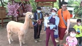 3倍券加農遊券！農林漁牧場域加碼優惠