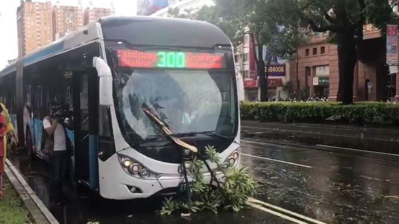 驚！台中雨炸路樹倒！公車玻璃遭射穿