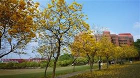 中正大學。（圖／翻攝自中正大學臉書）