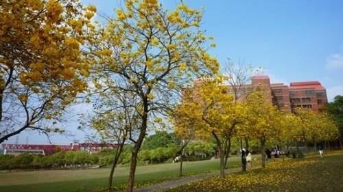 全台最美大學是？眾推這2間無人能敵