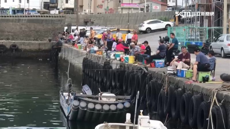 竹筴魚炸水花　釣客湧草里漁港卡位
