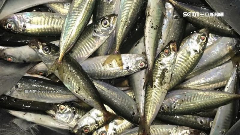 中國稱：台灣竹筴魚包裝驗出新冠病毒