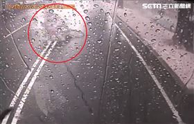 台中公車　路樹倒塌（圖／翻攝畫面）