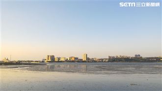 幕後／八里宜居？網狠酸「麥當勞都沒有」