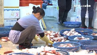 台版築地市場崁仔頂 決議不收三倍券