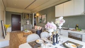 合謙愛瑪仕建案（業配勿用）