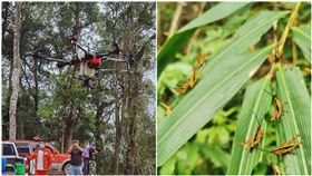 中國洪災接蝗災！502架無人機救不了　近10萬畝地受害（圖／翻攝自新華網）