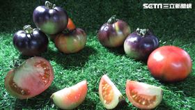 台灣五大奇色蔬果