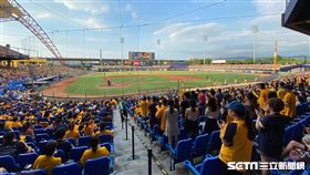 中信兄弟台中洲際棒球場球迷。（圖／記者王怡翔攝影）