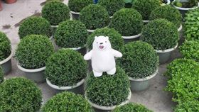 名家專用／台灣旅行趣（勿用）