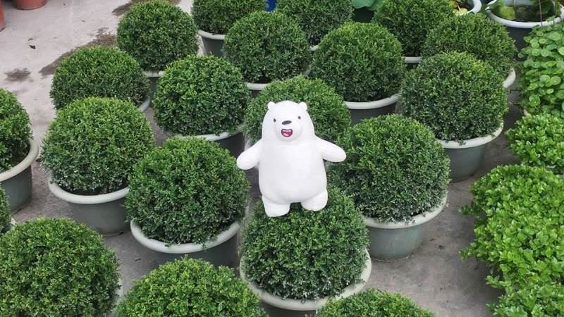 四季如春美地　百款植物樣樣有！