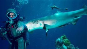 名家專用／草根影響力新視野（勿用）