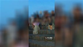 嘉義,故宮南院,無人機,水舞秀,岩石造景,公德心,禁止攀爬