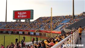 ▲中信兄弟球迷。（圖／記者劉彥池攝影）