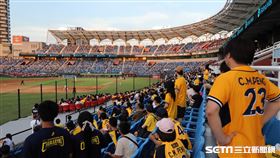 ▲中信兄弟球迷。（圖／記者劉彥池攝影）