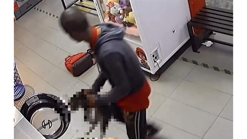 殘忍！平頭男拎3貓「丟洗衣機」溺死