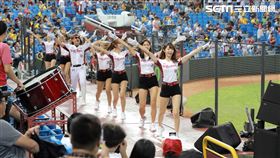 ▲樂天女孩帶領樂天桃猿球迷應援。（圖／記者劉彥池攝影）