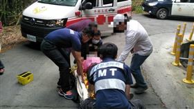 嘉義,阿里山,採茶,工人,貨車,拋飛