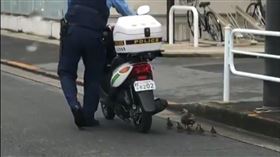 警察護送鴨子。（圖／翻攝自@hDuT2qgLlmVoOk2推特）