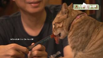 高市長補選激戰！雙方狂拉「年輕票」