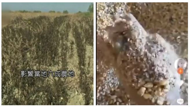 中國人吃草吧！她怒抓包糧倉竟藏碎渣
