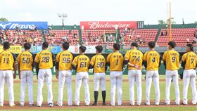 中信兄弟在台南棒球場。（圖／中信兄弟提供）