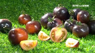 不愧是寶島台灣！「奇色水果」曝光