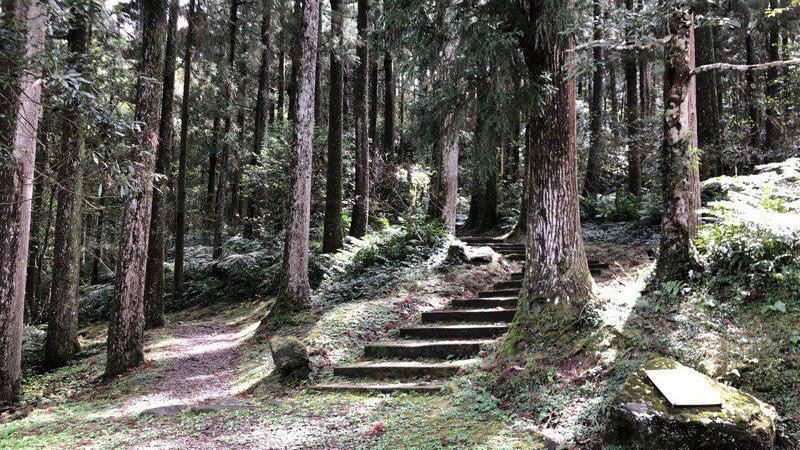 登山狂快看！7月中12森林免費入園