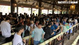 六福村，暑假人潮，民眾提供