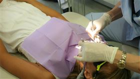 牙醫,牙痛。（圖／Pixabay）