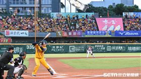 台南棒球場中信兄弟球迷。（圖／記者王怡翔攝影）