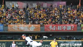 台南棒球場中信兄弟球迷熱情加油。（圖／記者王怡翔攝影）