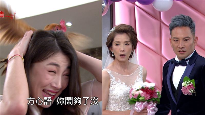 不讓葉全真結婚　小三放狗抓雞鬧婚禮