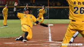 中信兄弟林智勝滑本壘。（圖／記者王怡翔攝影）