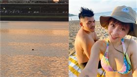 史丹利,Gigi,河邊,救狗,路人。翻攝自臉書