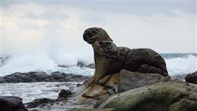 基隆市府評估海豹岩保護方式　籲民眾勿攀爬踩踏基隆海豹岩為近來熱門打卡景點，由於缺乏管理單位，常有遊客攀爬拍照，基隆市政府14日表示，自然資產應屬於所有人民，市府已研議評估相關自然物的保護方式，更呼籲民眾勿攀爬、踩踏，共同愛惜珍貴自然地景。（基隆鳥會提供）中央社記者王朝鈺傳真 109年7月14日