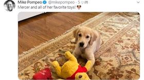 美國國務卿龐佩奧，發推特說「小熊維尼是他家狗的玩具」。（圖／翻攝自Mike Pompeo推特）