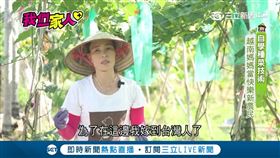 我們一家人,越南,新住民,老師,種菜,絲瓜