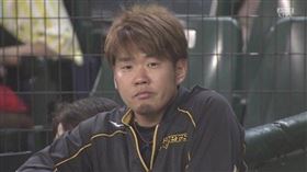 ▲阪神虎隊西勇輝。（圖／翻攝自@pp_psg推特）