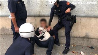 樹林情侶拒檢警開槍　寵物狗意外搶鏡