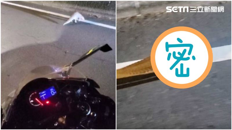 男騎車驚見「牠」亂竄　網驚：保育類
