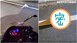 男騎車驚見「牠」亂竄　網驚：保育類
